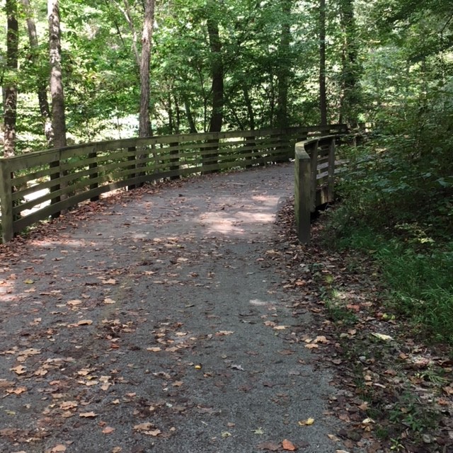 Fall Trail Running and Why It’s Breathtaking in More Than One&nbsp;Way